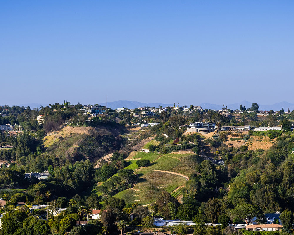 Bel Air